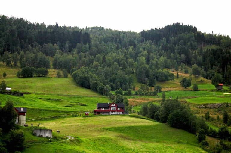 Mehr über den Artikel erfahren Ist die Forstwirtschaft Teil der Landwirtschaft?