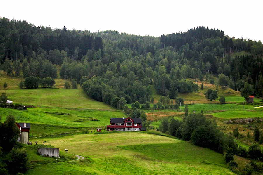 Du betrachtest gerade Ist die Forstwirtschaft Teil der Landwirtschaft?