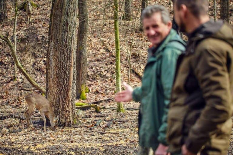 Mehr über den Artikel erfahren Beruf Förster: Naturmanager zwischen Waldpflege und Nachhaltigkeit