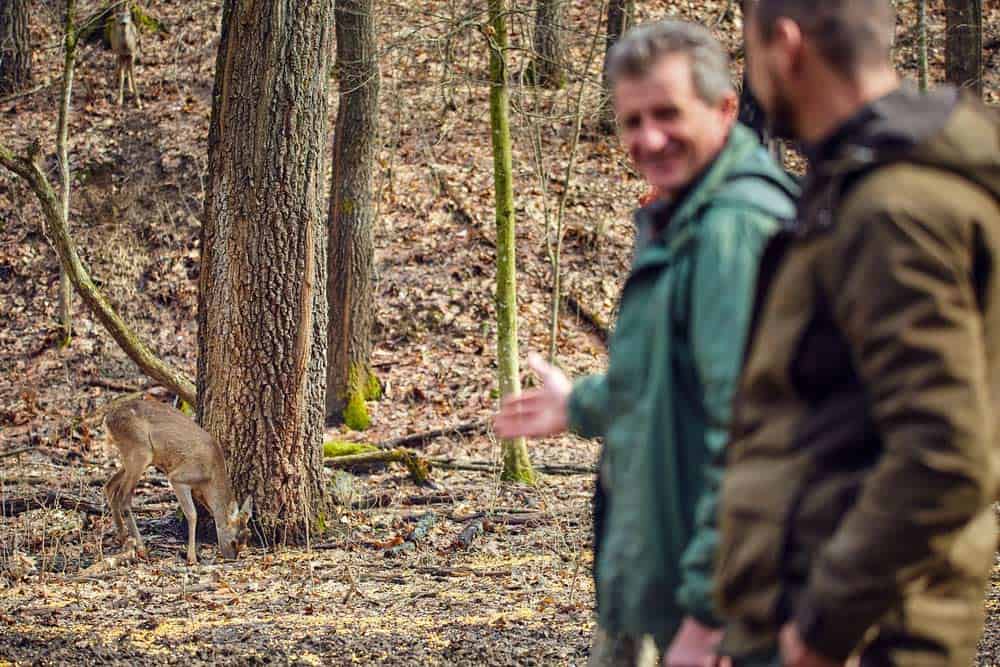 Du betrachtest gerade Beruf Förster: Naturmanager zwischen Waldpflege und Nachhaltigkeit