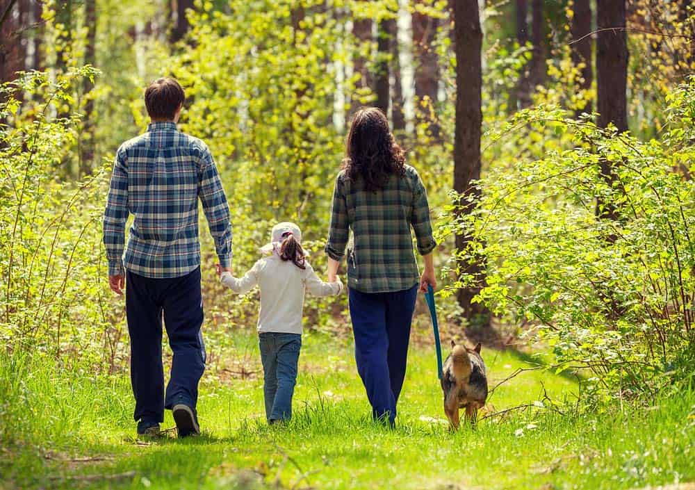 Erholung für die Familie im Sommerwald (depositphotos.com)